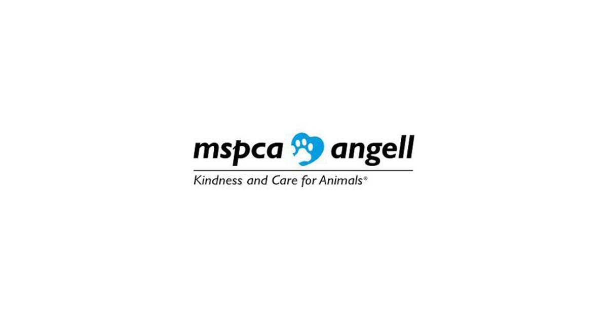 Mspca angell